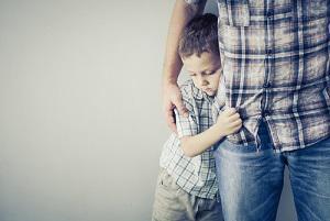 Illinois divorce attorney, Illinois family lawyer, Illinois child custody lawyer, comprehensive parenting plan, 